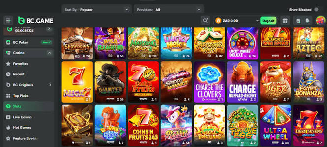 Common BC.Game Login Problems and Solutions -319539401
