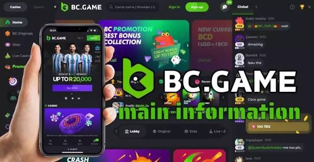 Common BC.Game Login Problems and Solutions -319539401